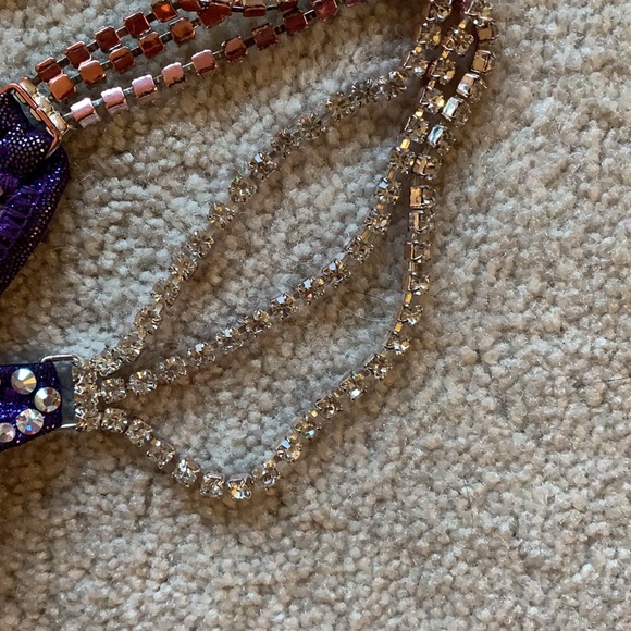 Ravish Sands Custom Competition Bikini - Picture 6 of 8